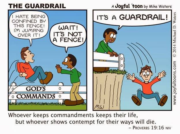 not a fence - guardrail.jpg