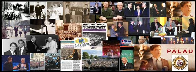 Palau-movie-banner.jpg