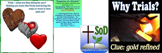 SOD-what-to-do-with-trials.jpg