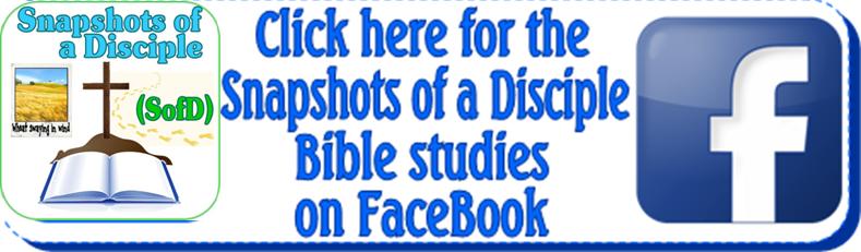 SoD-FB
