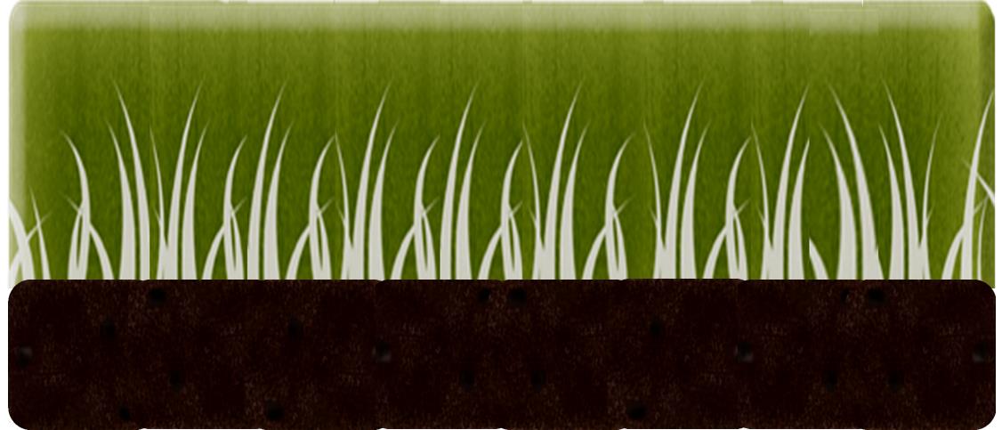 S&R grass growing